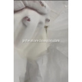 /msite/products/detail/productid/63712825/id/675979.html
